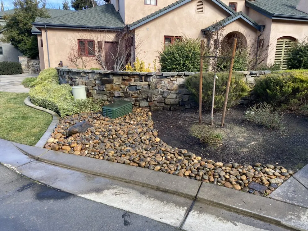 Expert yard cleanup service in Lodi, CA by Petey's Demo and Trash Disposal