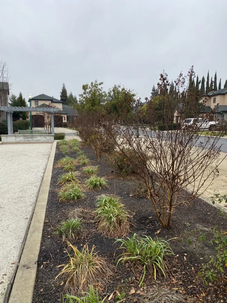 Expert residential landscaping experts serving Lodi, CA - Petey's Demo and Trash Disposal