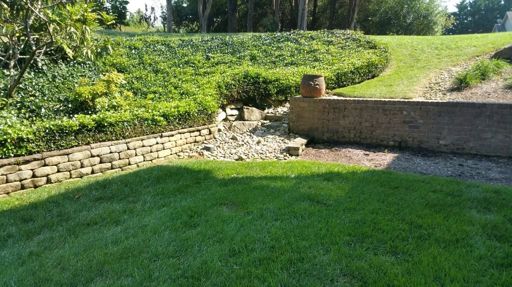 Local yard maintenance experts serving Knoxville, TN - Petey's Landscaping & Lawn