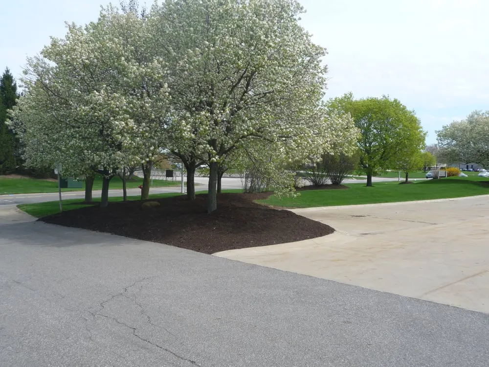 Reliable lawn mowing service for outdoor upgrades across North Royalton, OH - Petit Lawn Maintenance