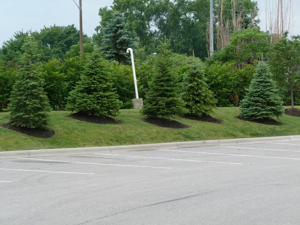 Trusted lawn mowing service for residential properties across North Royalton, OH - Petit Lawn Maintenance