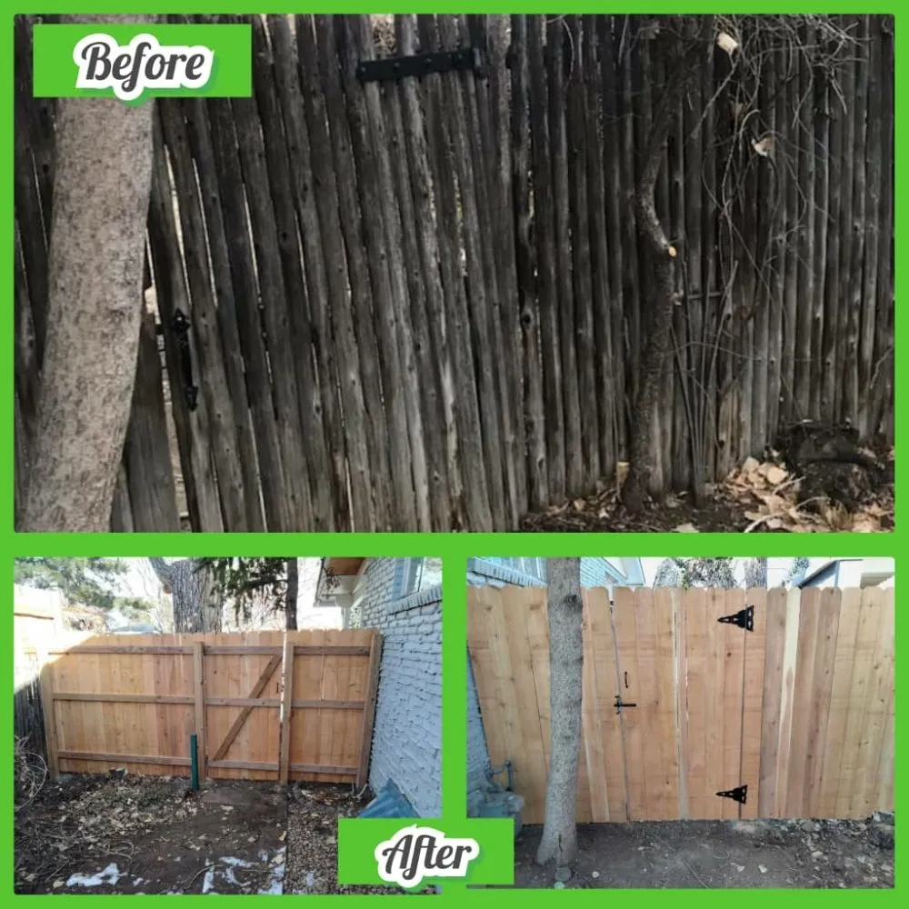 Trusted yard cleanup service with custom design in Denver, CO by Petit Solutions