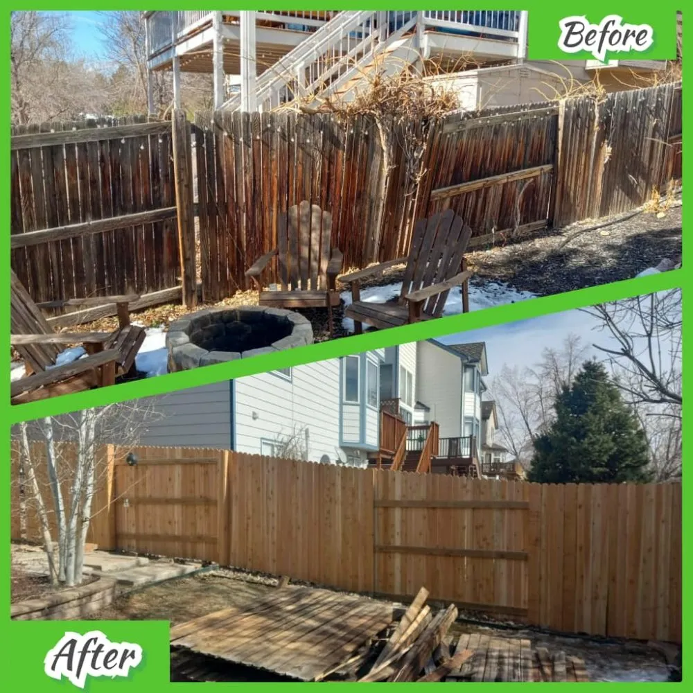 Trusted yard cleanup service near you across Denver, CO - Petit Solutions