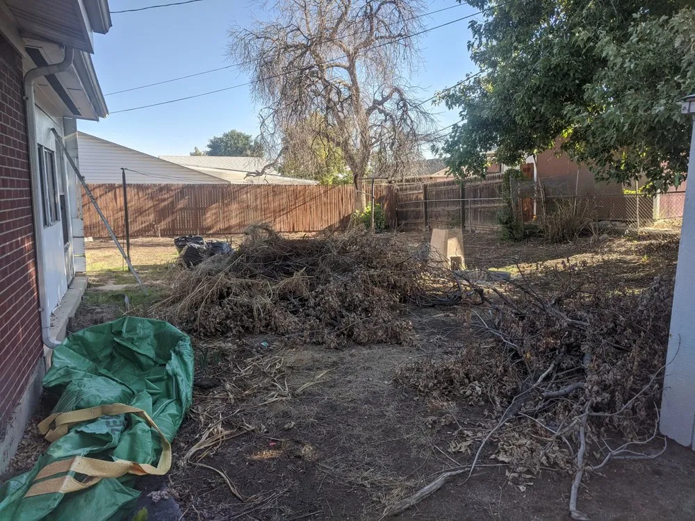 Expert yard cleanup service for residential properties in Denver, CO by Petit Solutions