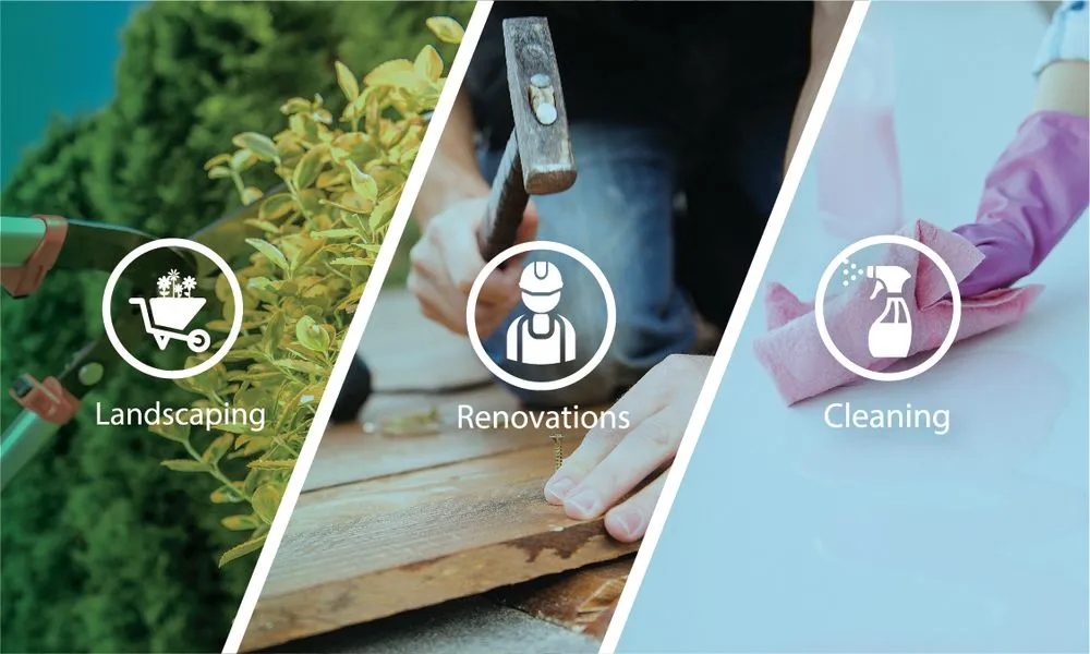 Affordable landscaping services experts serving Denver, CO - Petit Solutions