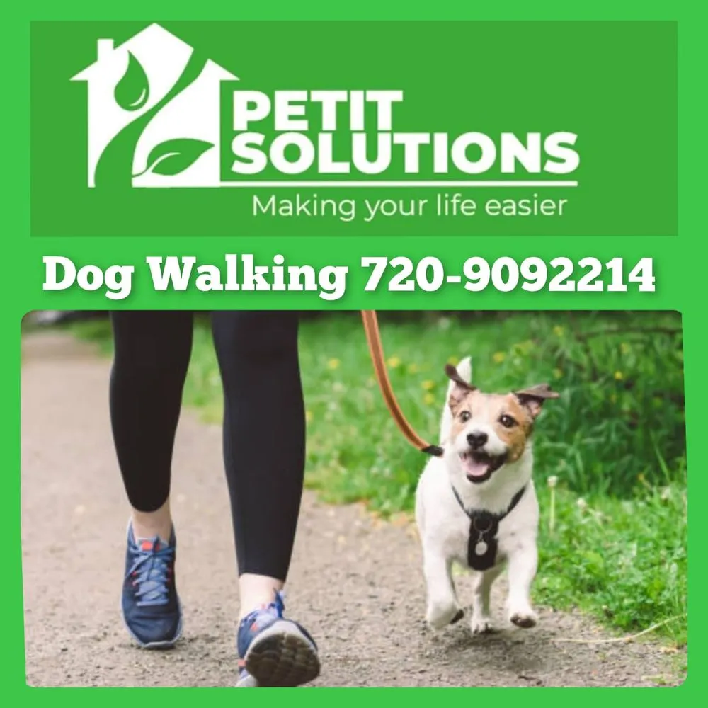 Affordable yard maintenance in Denver, CO by Petit Solutions