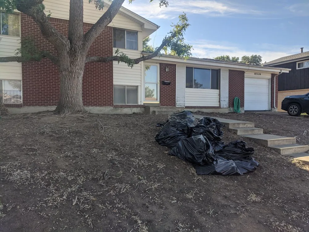 Affordable lawn care service in Denver, CO by Petit Solutions