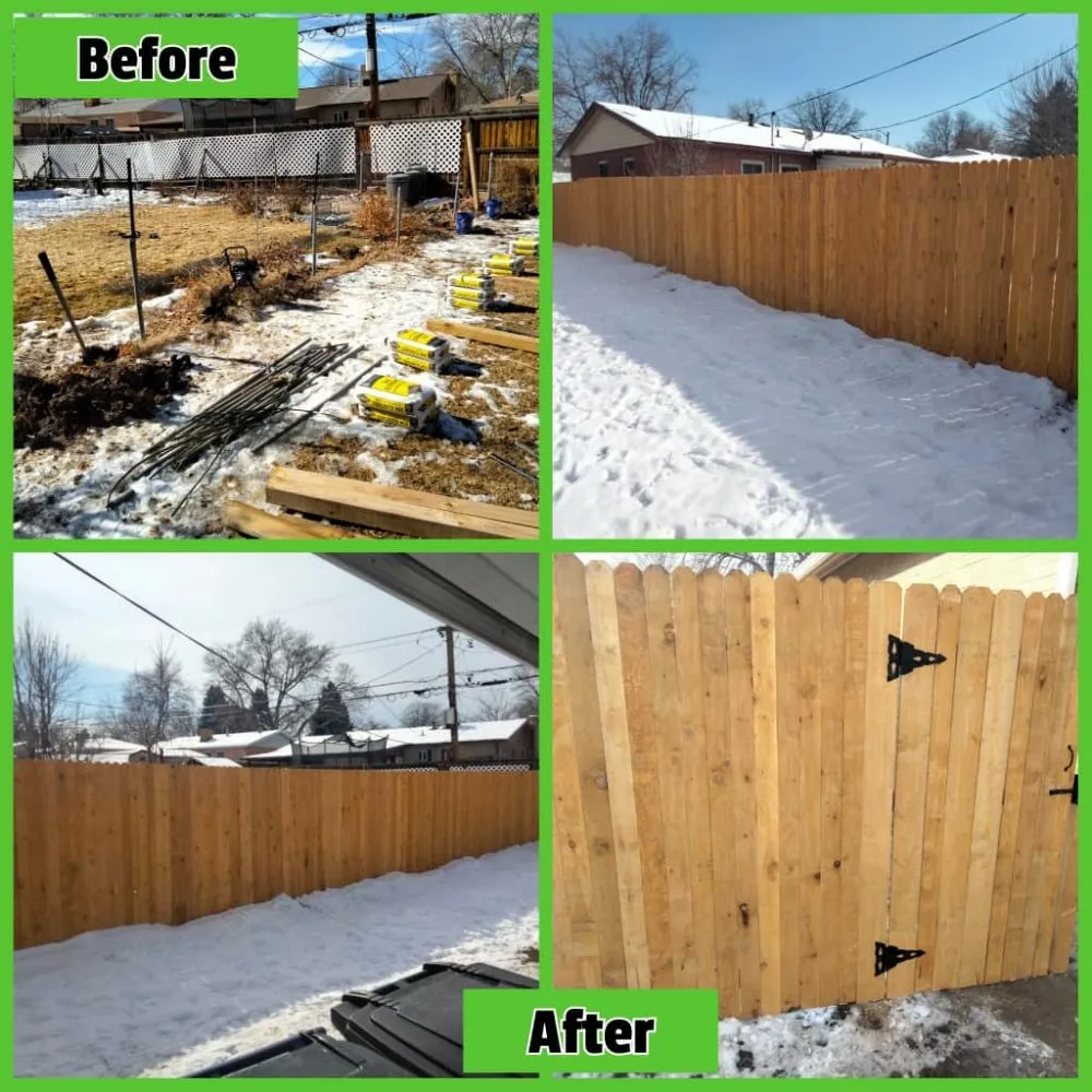 Affordable yard cleanup service experts serving Denver, CO - Petit Solutions