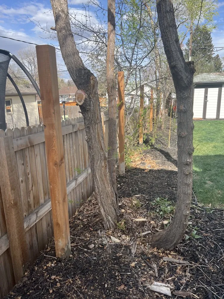 Reliable landscape design experts serving Denver, CO - Petit Solutions