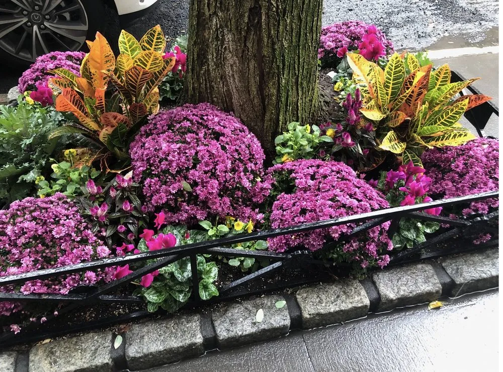 Professional lawn care service in Brooklyn, NY by Petito Irriscape