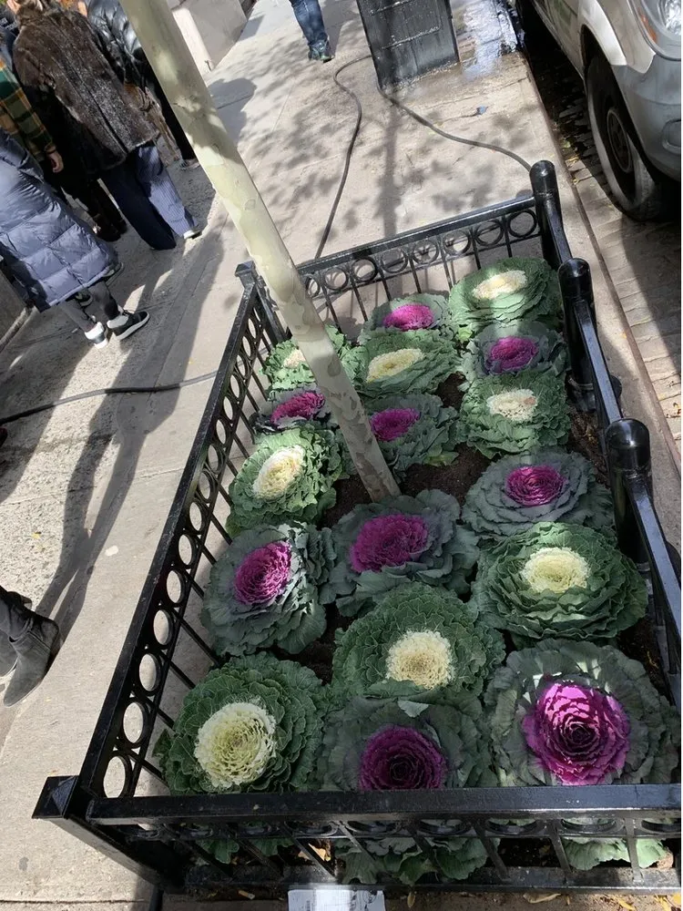 Reliable garden landscaping experts serving Brooklyn, NY - Petito Irriscape