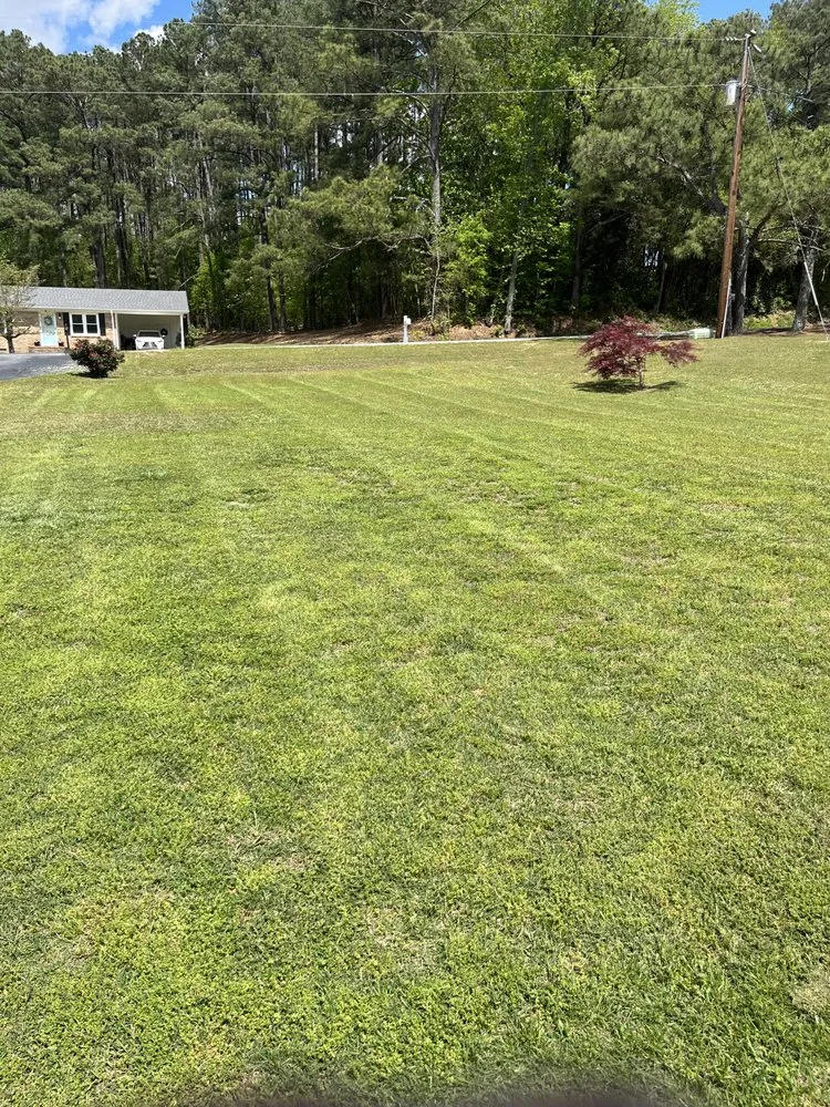 Expert yard cleanup service experts serving Coats, NC - Petoletti Precision Lawn Care