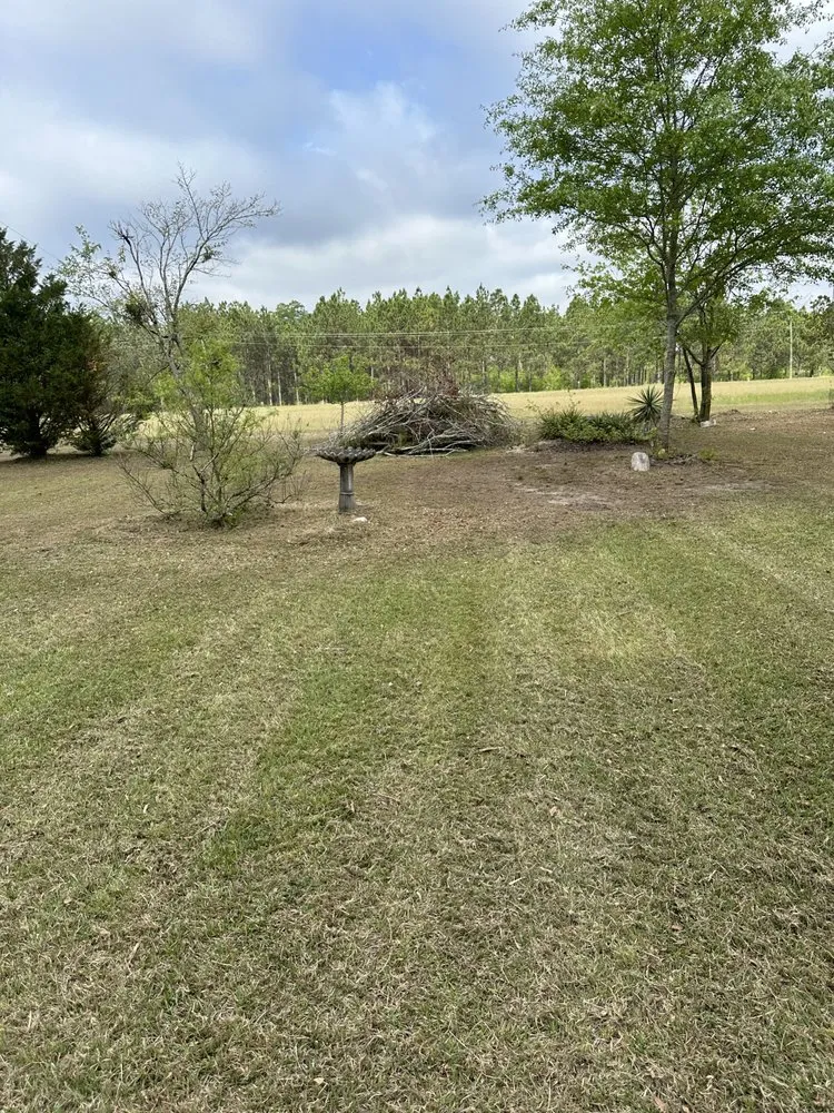 Expert outdoor landscaping in Coats, NC by Petoletti Precision Lawn Care