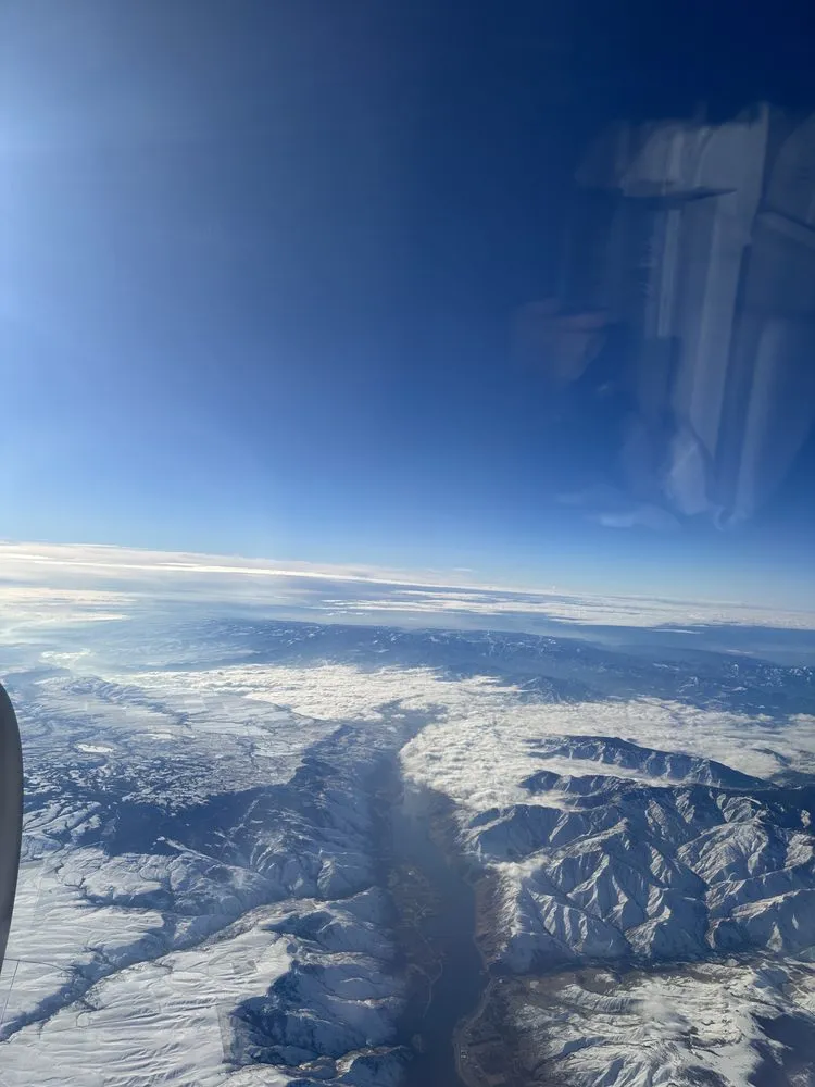 Trusted yard maintenance in Lowell, MA - Petra Home Service