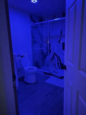 Petra Home Service Logo