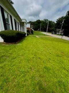 Trusted yard cleanup service for outdoor upgrades across Tuscaloosa, AL - Petra Lawncare and Services