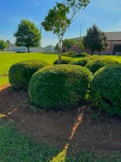 Trusted outdoor landscaping in Tuscaloosa, AL - Petra Lawncare and Services