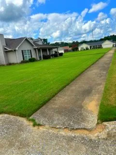Reliable yard maintenance in Tuscaloosa, AL - Petra Lawncare and Services