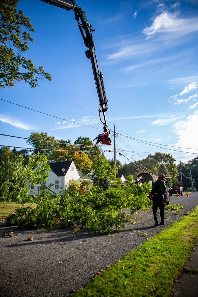 Reliable garden landscaping in Massillon, OH - Petrarca Landcare