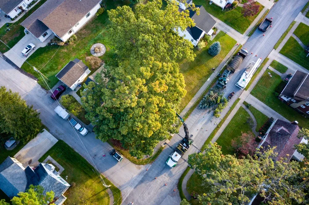 Trusted landscape design for year-round maintenance in Massillon, OH by Petrarca Landcare