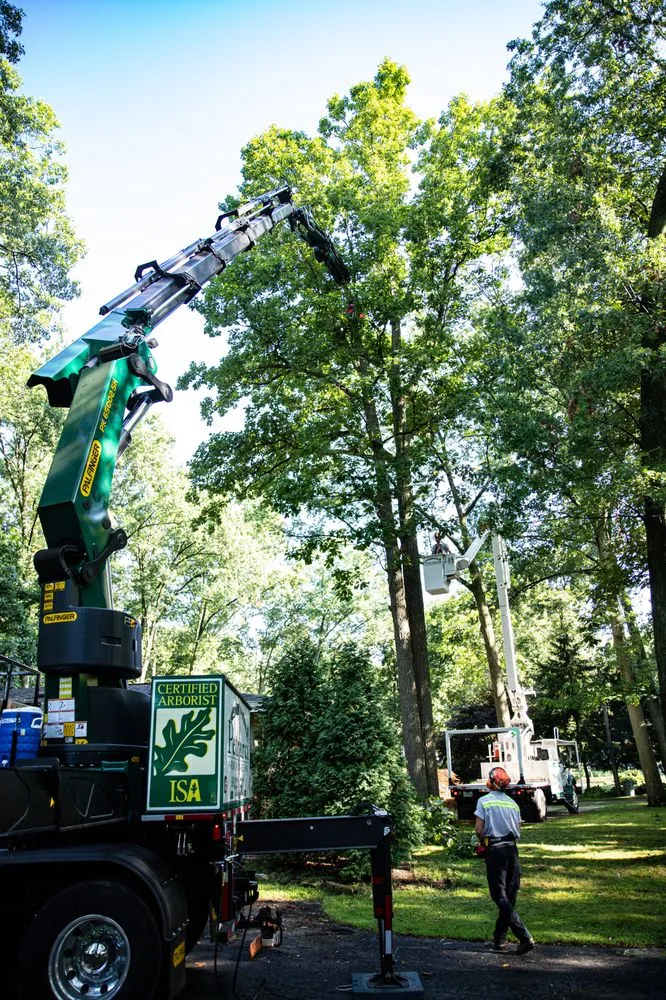 Top-rated landscaping services in Massillon, OH - Petrarca Landcare