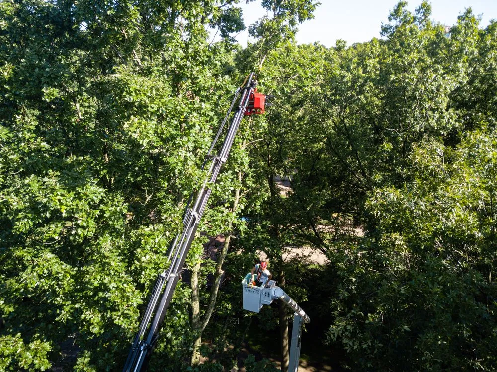 Top-rated lawn mowing service for outdoor upgrades in Massillon, OH by Petrarca Landcare