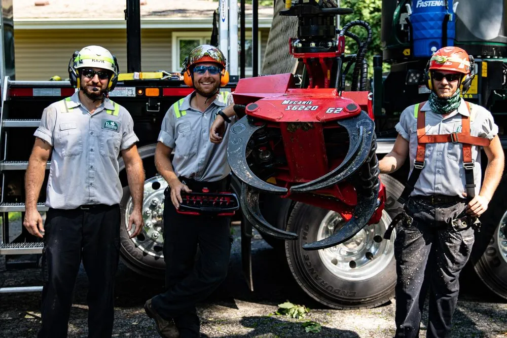 Reliable lawn care service in Massillon, OH by Petrarca Landcare