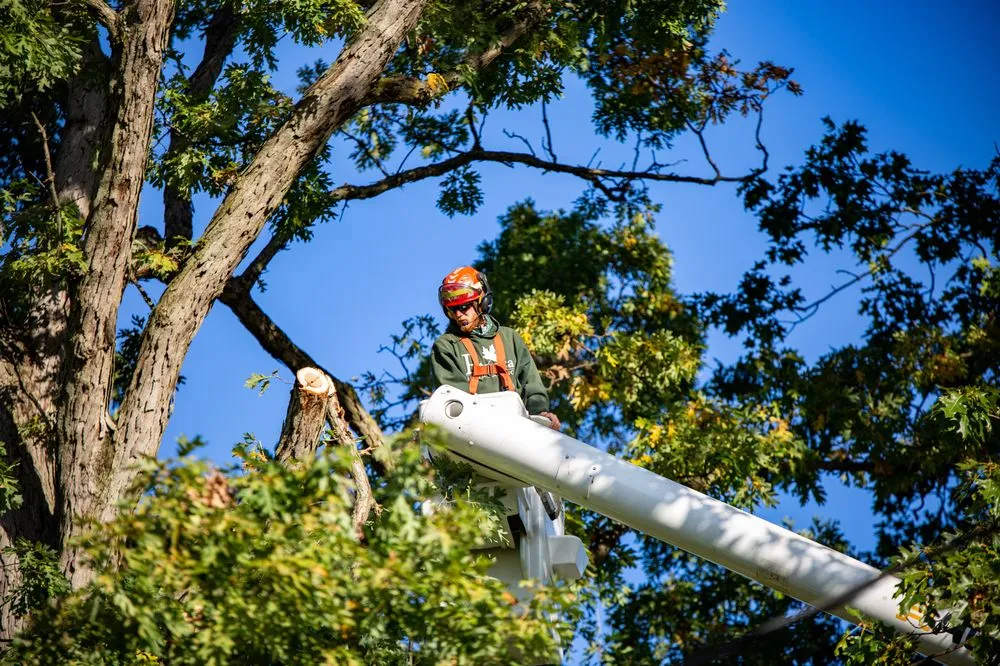 Expert landscape installation in Massillon, OH by Petrarca Landcare