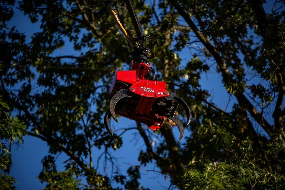 Expert garden landscaping in Massillon, OH by Petrarca Landcare