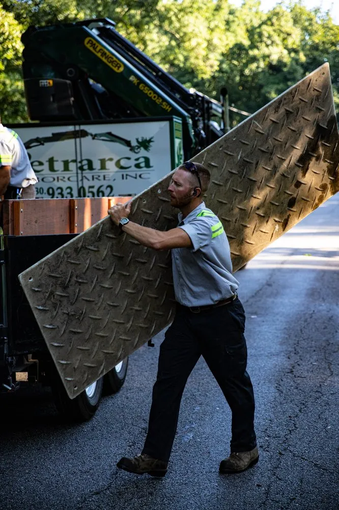 Professional landscape installation for residential properties in Massillon, OH by Petrarca Landcare