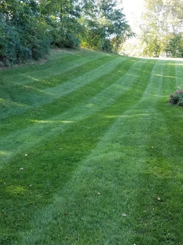 Local landscape design for beautiful yards in Asheville, NC by Petrey Lawn Care