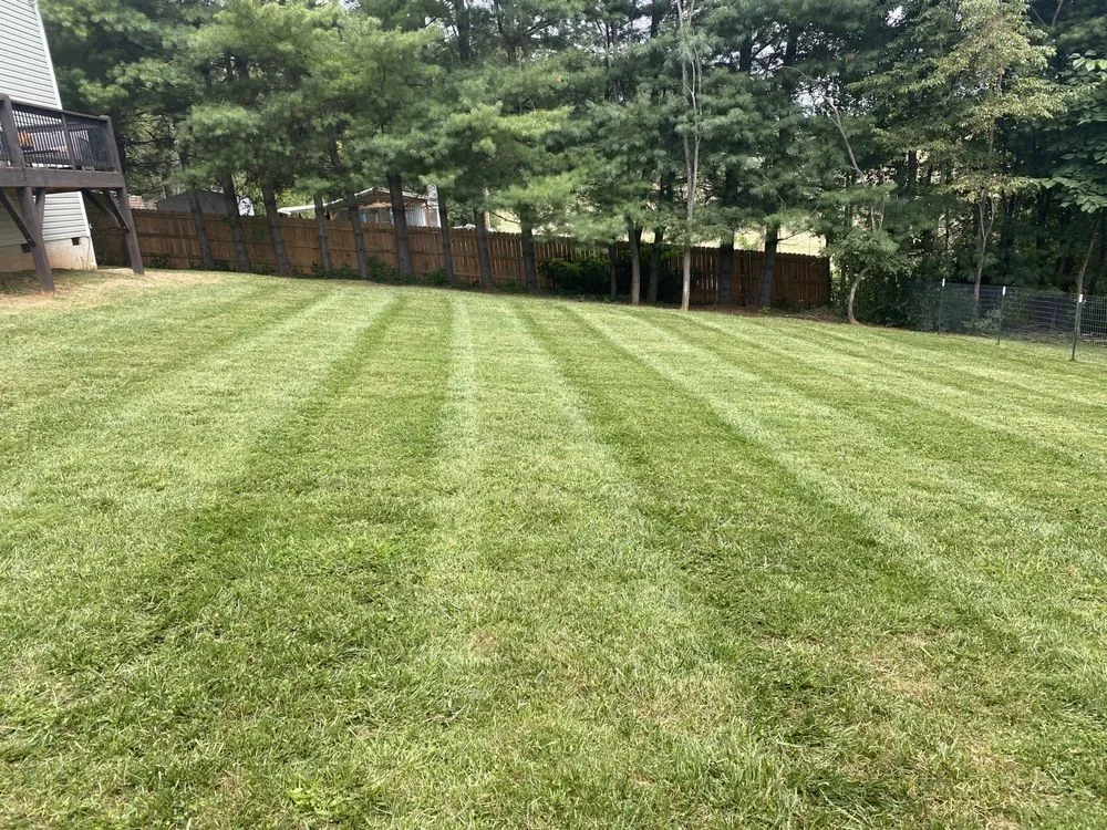 Custom garden landscaping in Asheville, NC by Petrey Lawn Care