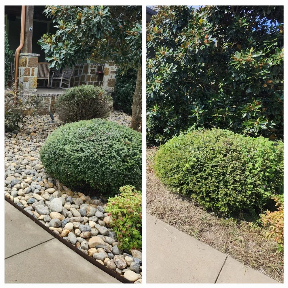 Trusted outdoor landscaping experts serving Neches, TX - Petri Landscaping