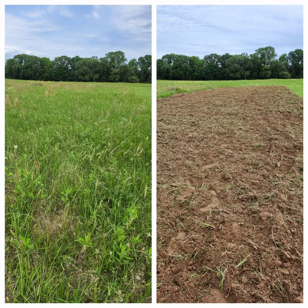 Reliable landscaping services in Neches, TX by Petri Landscaping