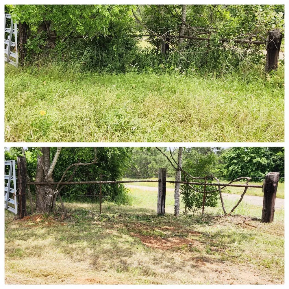 Reliable residential landscaping in Neches, TX - Petri Landscaping