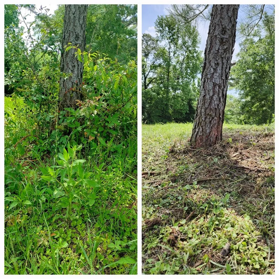Custom yard cleanup service in Neches, TX by Petri Landscaping