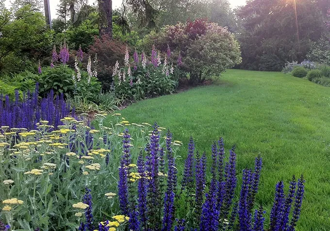 Local garden landscaping in Westport, CT - PetrowGardens Landscape Design