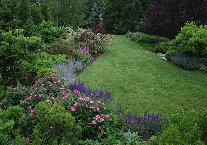 Trusted lawn mowing service in Westport, CT by PetrowGardens Landscape Design