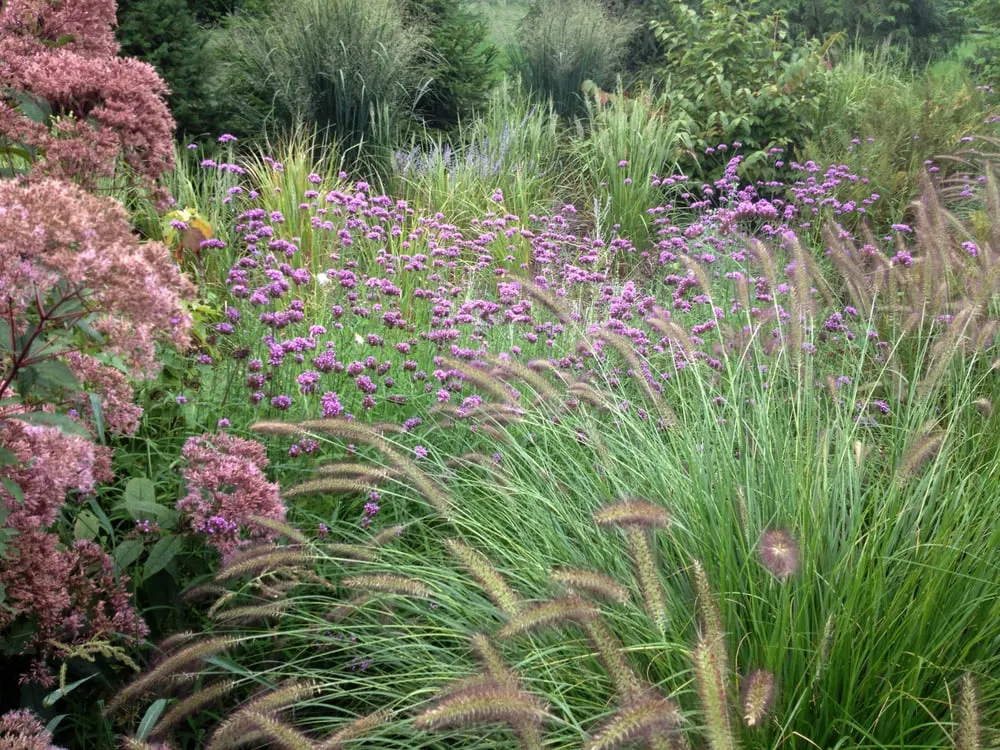 Professional lawn mowing service in Westport, CT - PetrowGardens Landscape Design