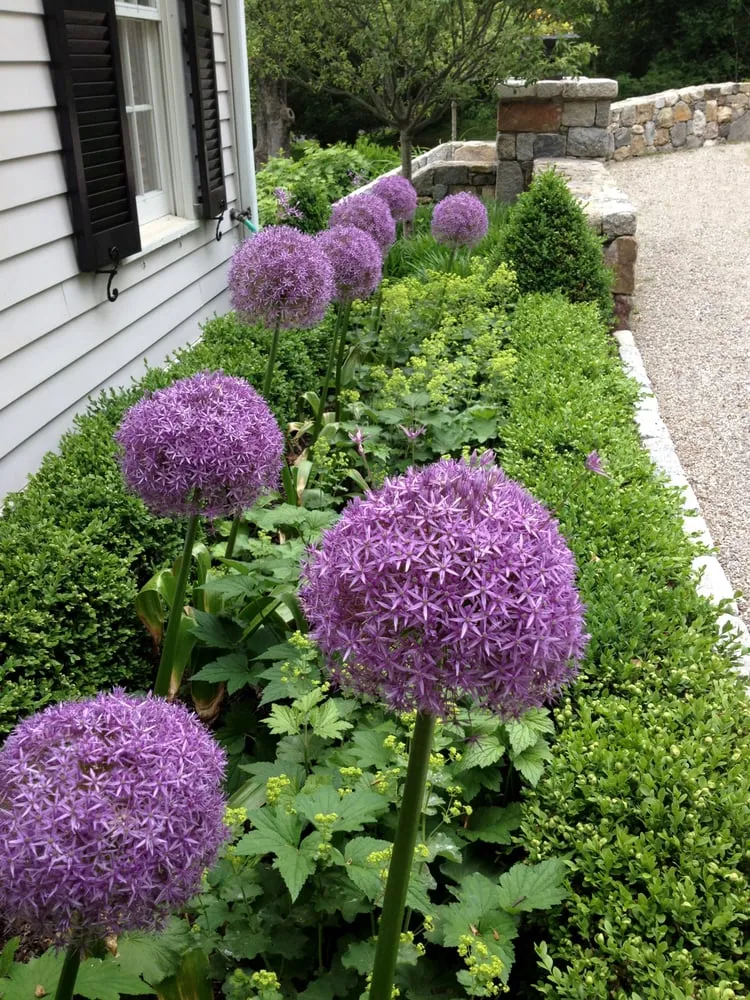 Expert yard maintenance near you across Westport, CT - PetrowGardens Landscape Design