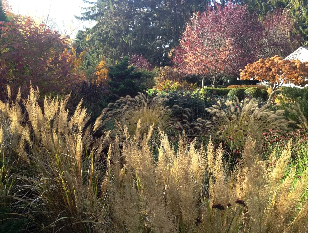 Professional landscaping services for year-round maintenance across Westport, CT - PetrowGardens Landscape Design
