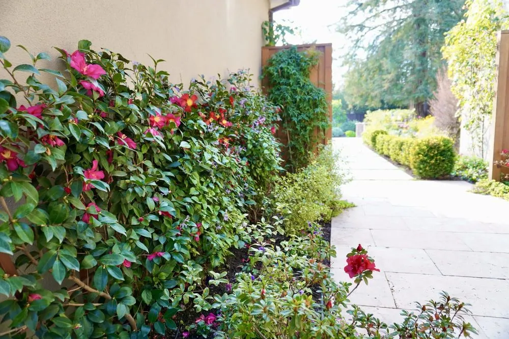 Custom garden landscaping for outdoor upgrades in Menlo Park, CA by Petrus Landscaping