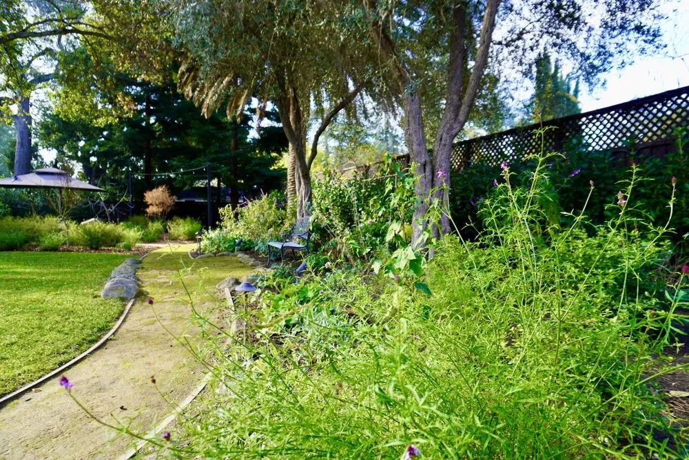 Local yard maintenance in Menlo Park, CA - Petrus Landscaping