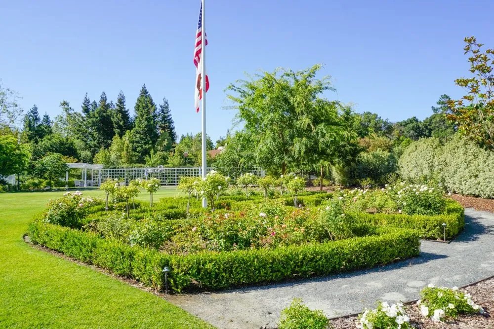 Local outdoor landscaping in Menlo Park, CA by Petrus Landscaping