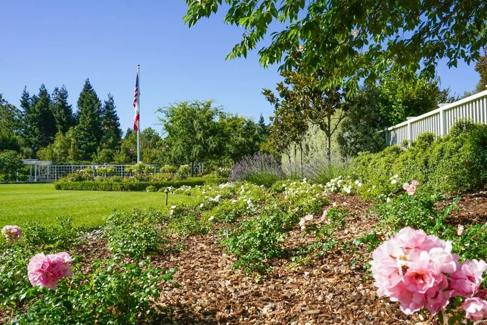 Custom yard cleanup service for outdoor upgrades in Menlo Park, CA by Petrus Landscaping