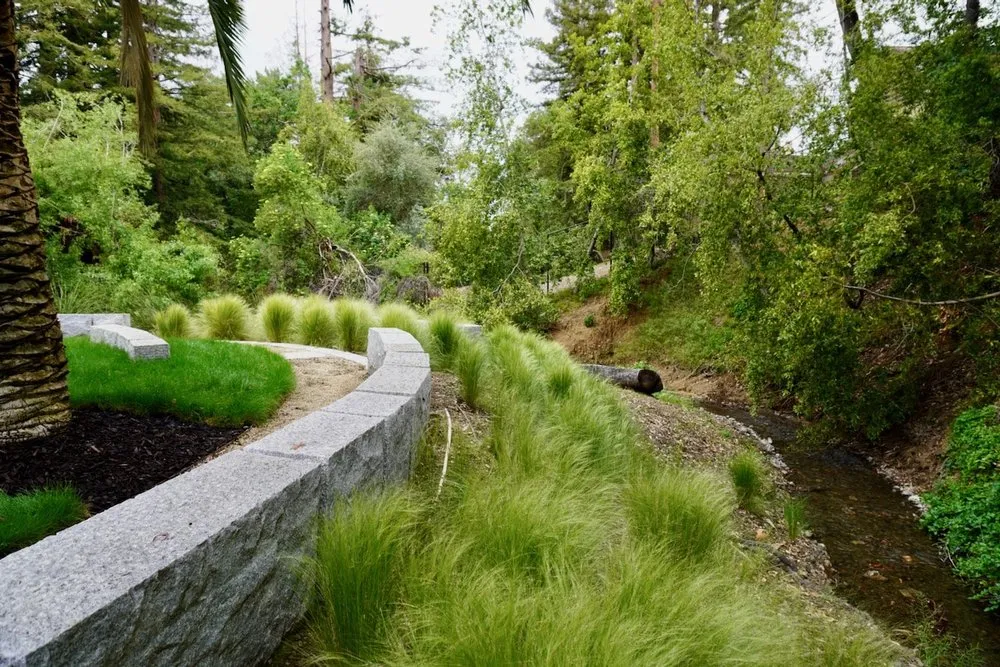 Local yard cleanup service experts serving Menlo Park, CA - Petrus Landscaping