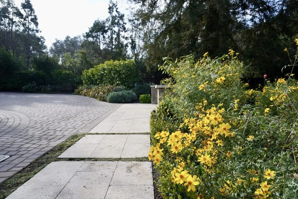 Local lawn care service in Menlo Park, CA - Petrus Landscaping