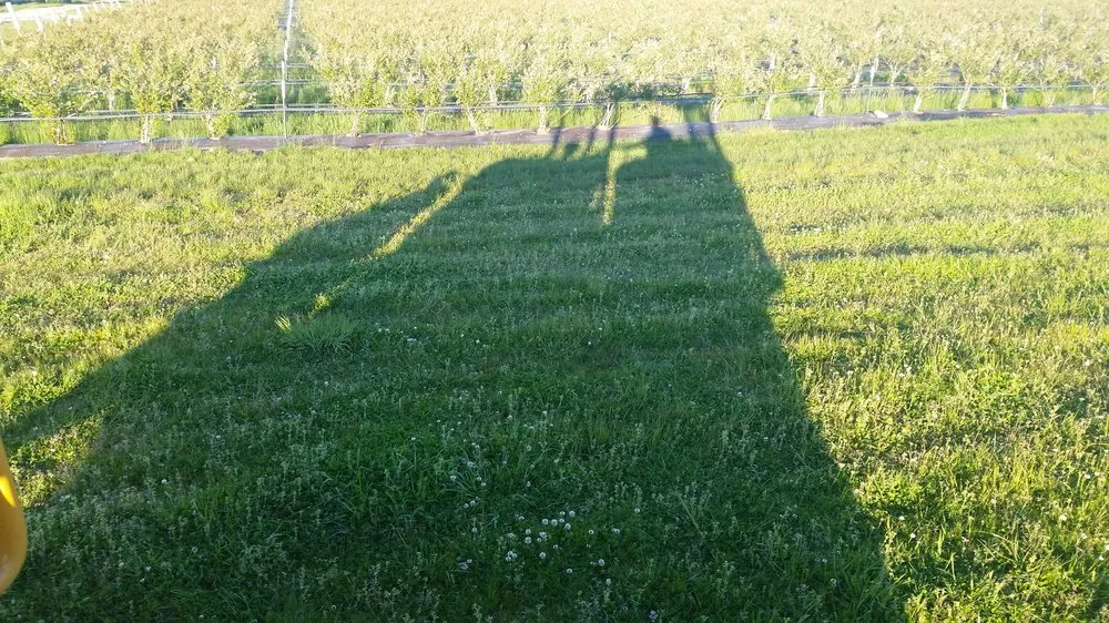 Custom lawn mowing service for residential properties in Greenbank, WA by Petry Custom Land Prep