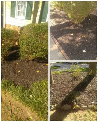 Pettiford Lawn Care Logo