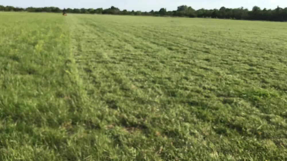 Expert residential landscaping for year-round maintenance in Topeka, KS by Pettigrew's Lawn Landscaping & Snow Removal